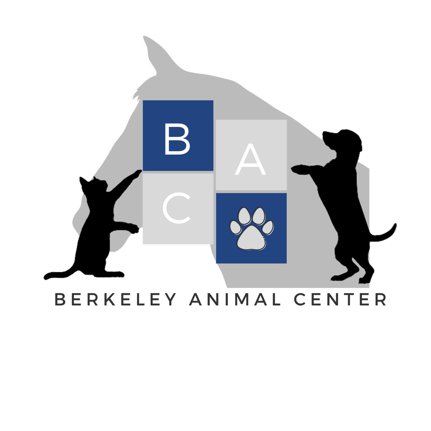 Berkeley Animal Center in Moncks Corner, 519 | Clear The Shelters 2022 image