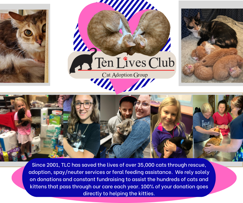 Ten Lives Club  in Blasdell, 514 | Clear The Shelters 2022 image