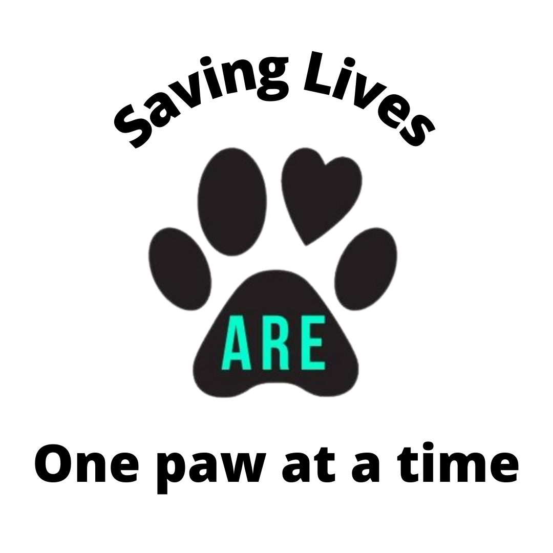 ARE Animal Rescue in Hemet, 803 | Clear The Shelters 2022 image