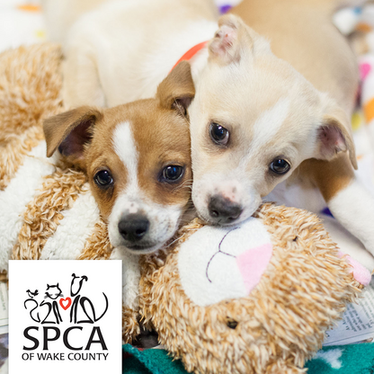SPCA of Wake County, Inc. in Raleigh, 560 | Clear The Shelters 2022 image