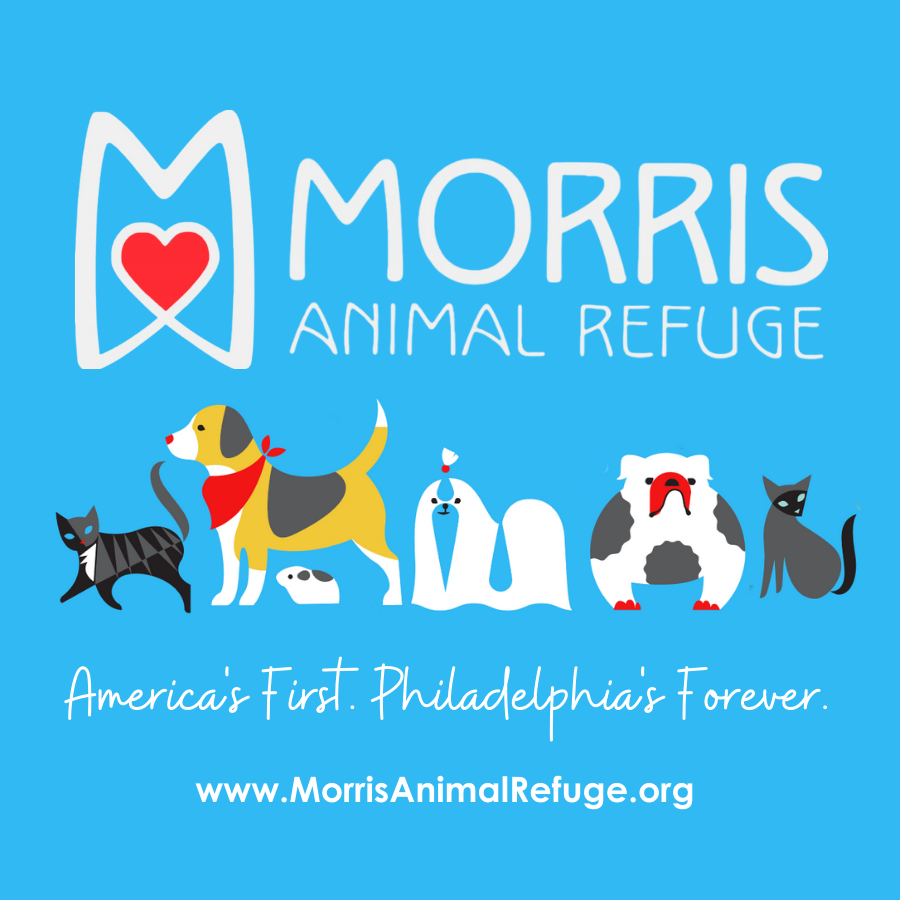 Morris Animal Refuge in Philadelphia, PA | Clear The Shelters 2022 image