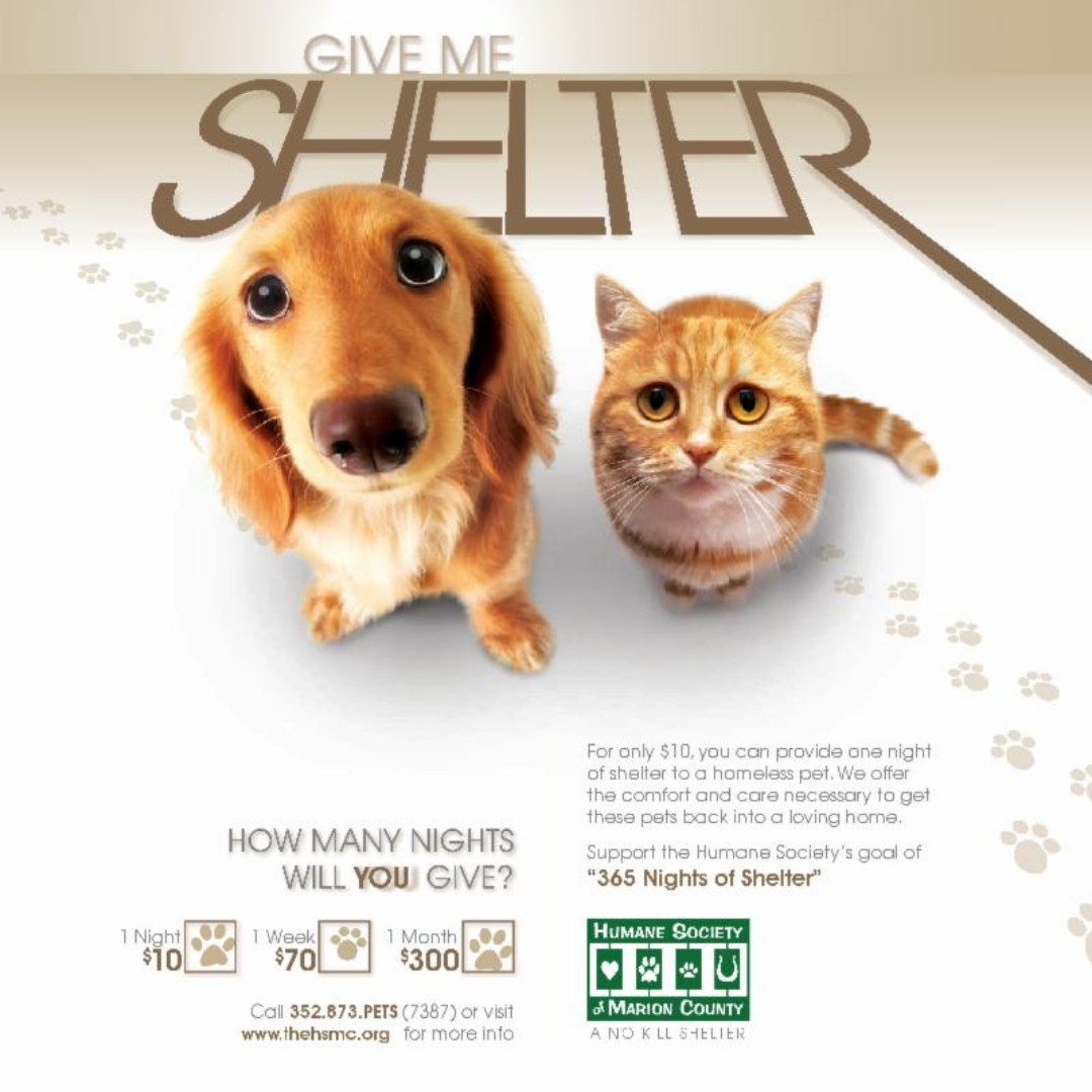 Humane Society of Marion County INC. in Ocala, 534 | Clear The Shelters 2022 image