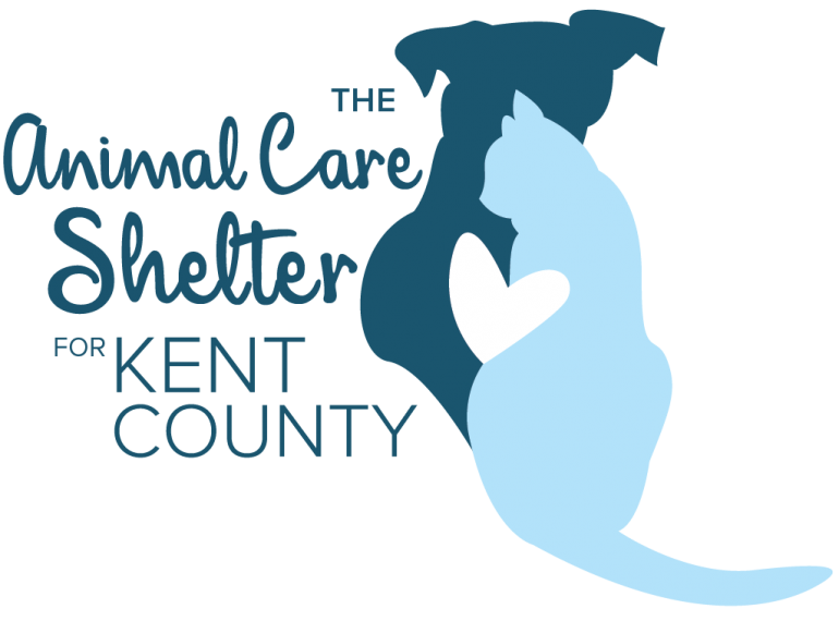 Humane Society of Kent County, Inc. in Chestertown, 512 | Clear The Shelters 2022 image