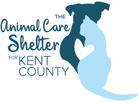 Humane Society of Kent County, Inc. in Chestertown, 512 | Clear The Shelters 2022 image