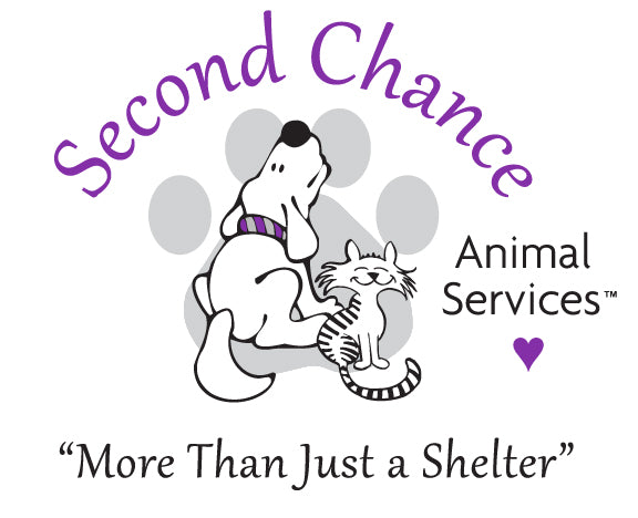 Second Chance Animal Services in East Brookfield, 506 | Clear The Shelters 2022 image