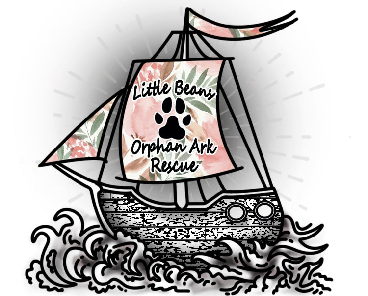 Little Beans Orphan Ark Rescue in Laplata, 511 | Clear The Shelters 2022 image