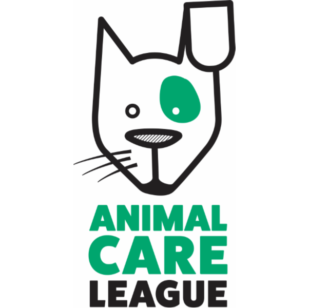 Animal Care League in Oak Park, 602 | Clear The Shelters 2022 image