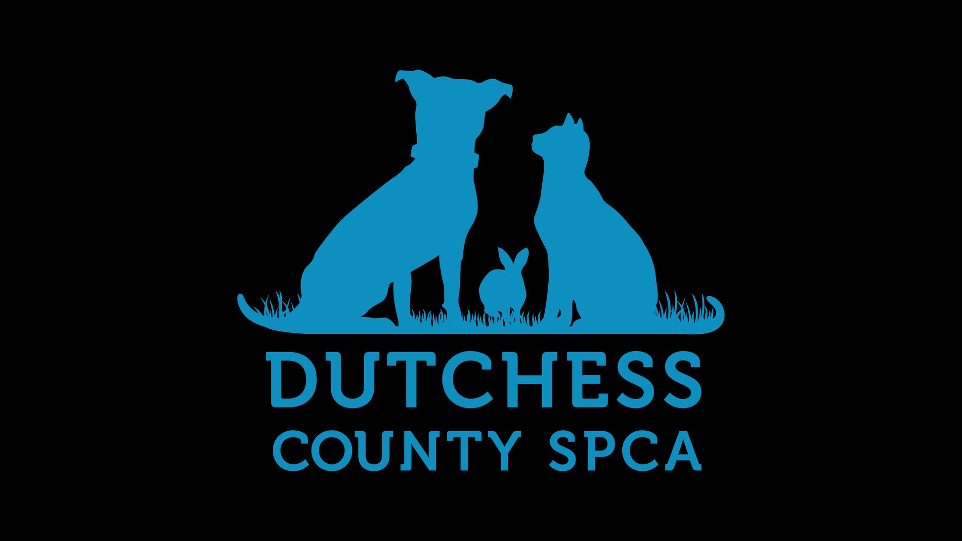 Dutchess County SPCA in Hyde Park, NY | Clear The Shelters image