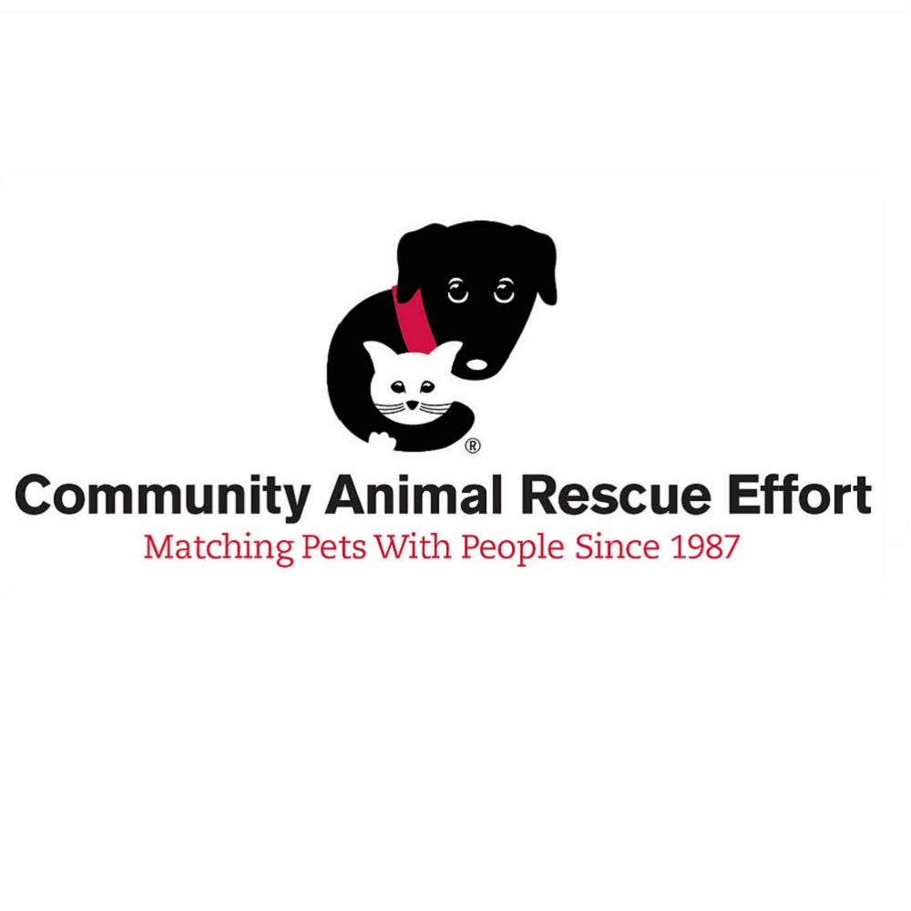 Community Animal Rescue Effort (C.A.R.E.) in Skokie, 602 | Clear The Shelters 2022 image