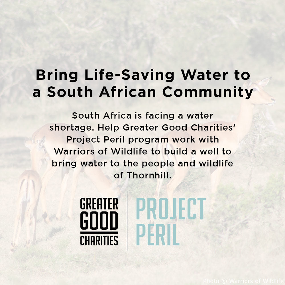 Provide Life-Saving Water to People & Wildlife in South Africa