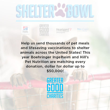 Shelter Bowl 2023: Feed Shelter Animals