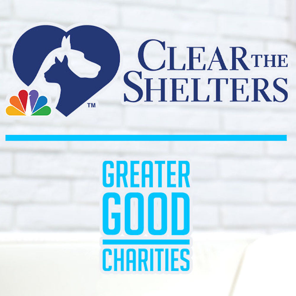 Rockingham County Animal Shelter in Reidsville, 518 | Clear The Shelters 2022 image