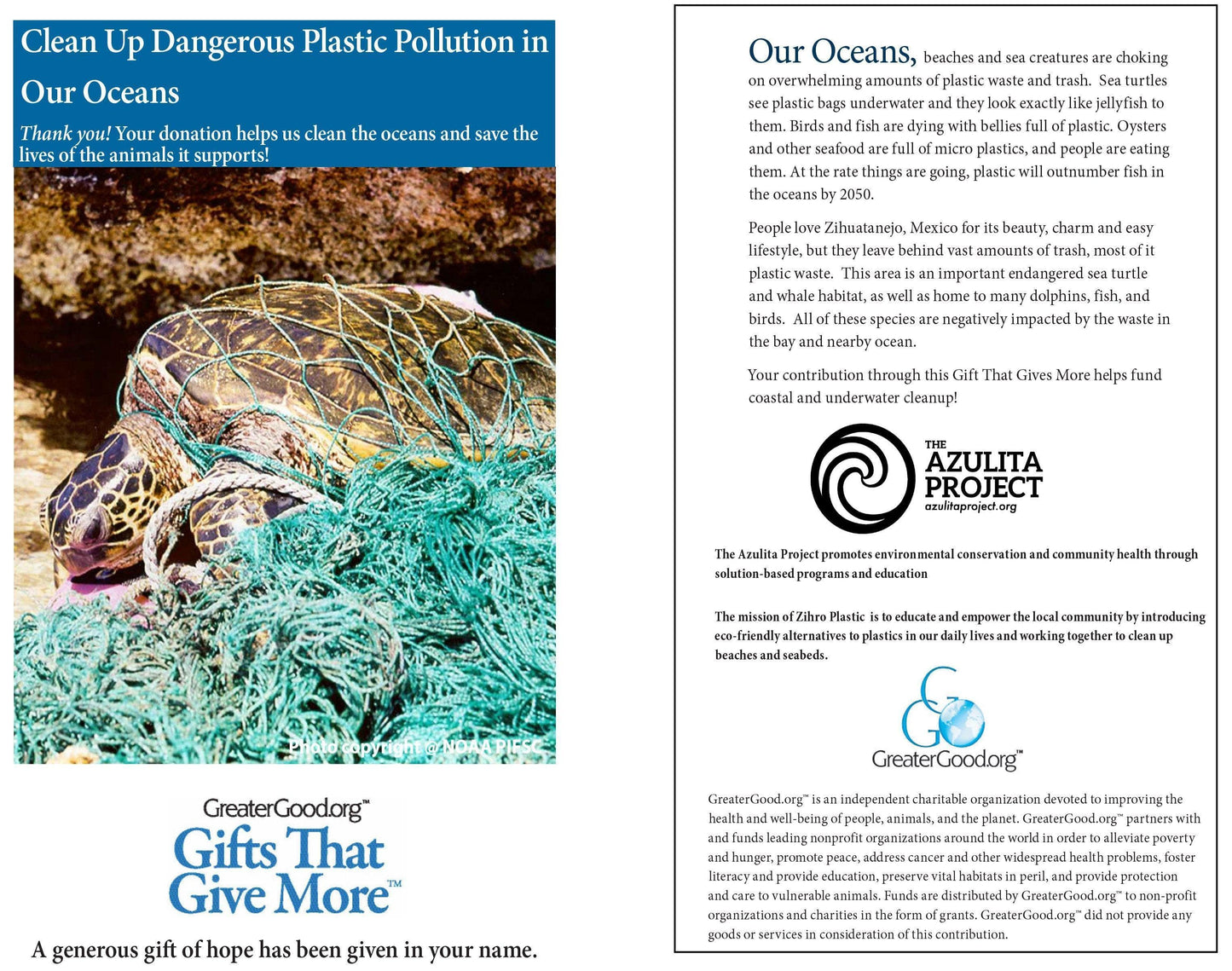 Donation - Clean Up Dangerous Plastic Pollution In Our Oceans