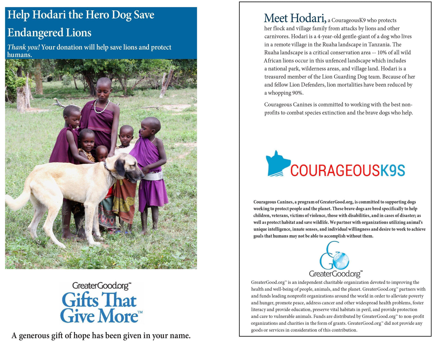 Donation - Help Hodari The Hero Dog Save Endangered Lions