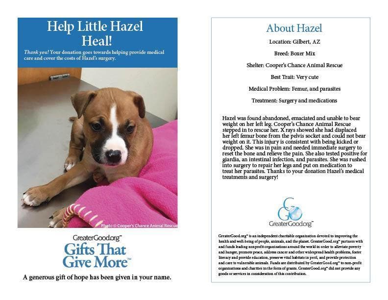 Donation - Help Little Hazel Heal!