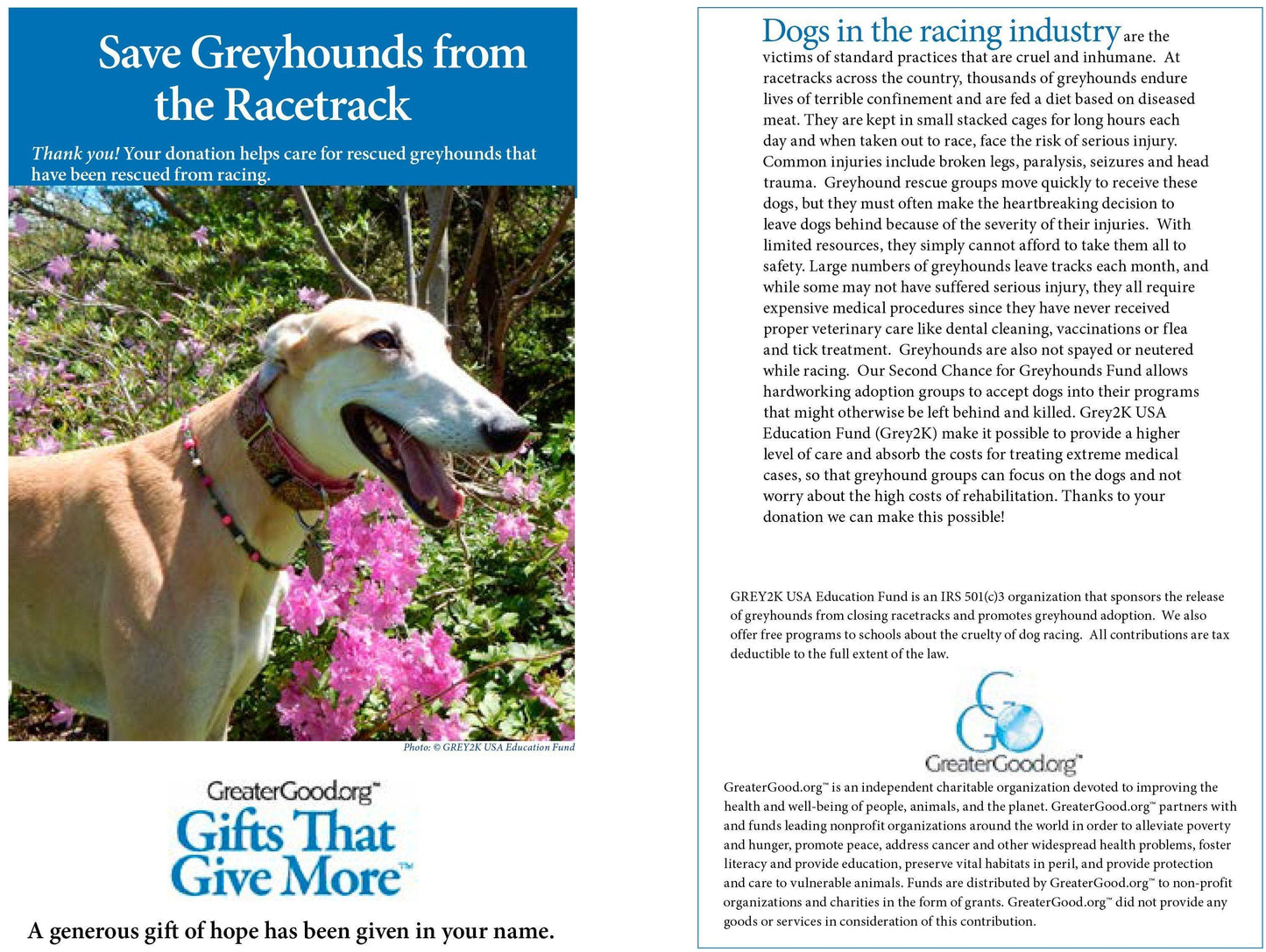 Donation - Help Save Greyhounds From The Racetrack