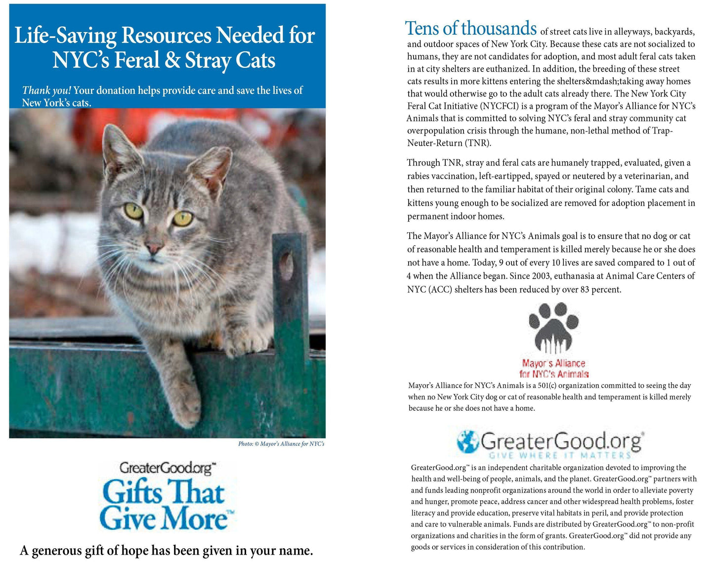 Donation - Life-Saving Resources Needed For NYC's Feral & Stray Cats