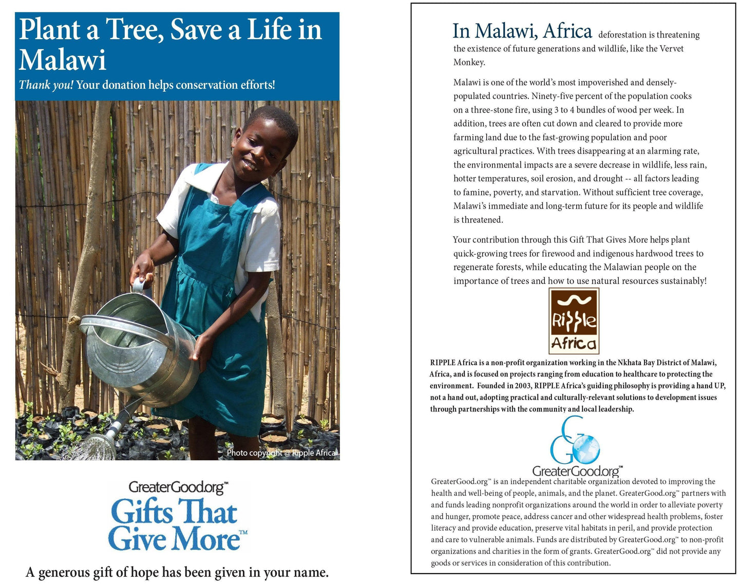 Donation - Plant A Tree, Save A Life In Malawi