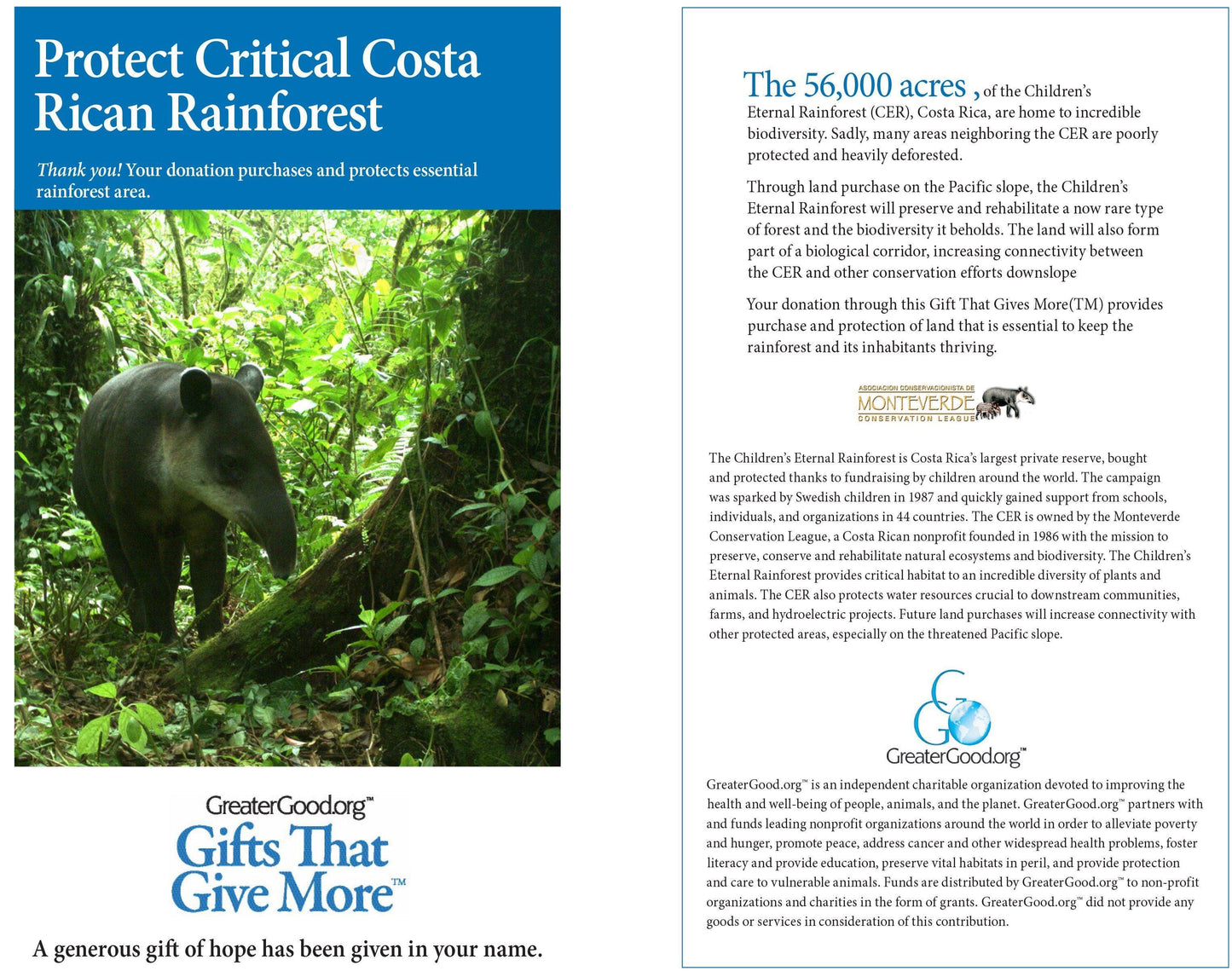 Donation - Protect Critical Costa Rican Rainforest