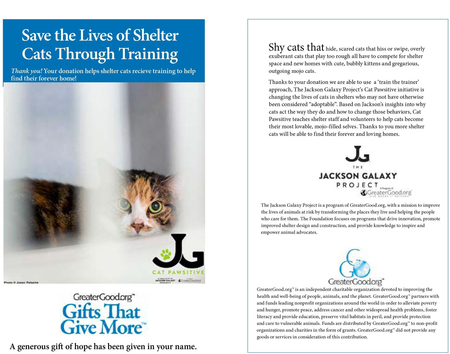 Donation - Save The Lives Of Shelter Cats With Cat Pawsitive