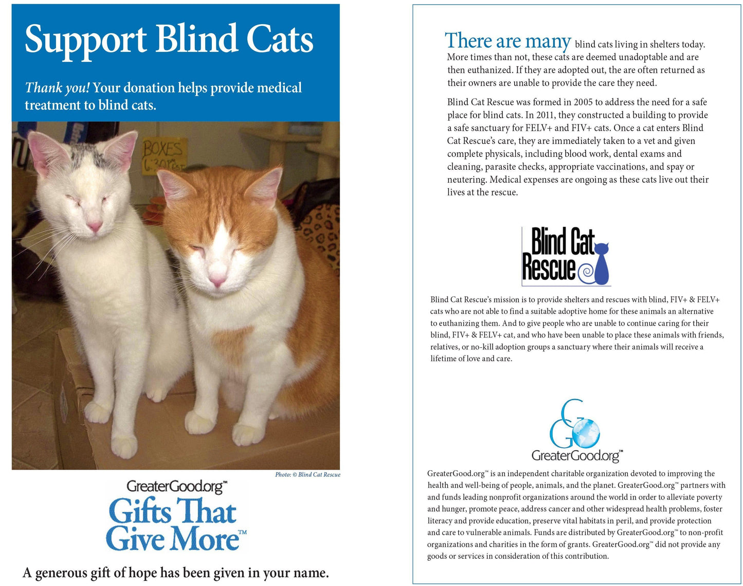 Donation - Support Blind Cats