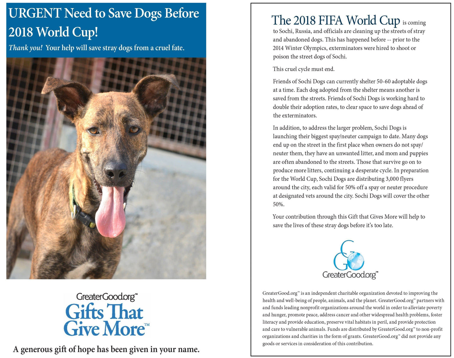 Donation - URGENT Need To Save Dogs Before 2018 World Cup