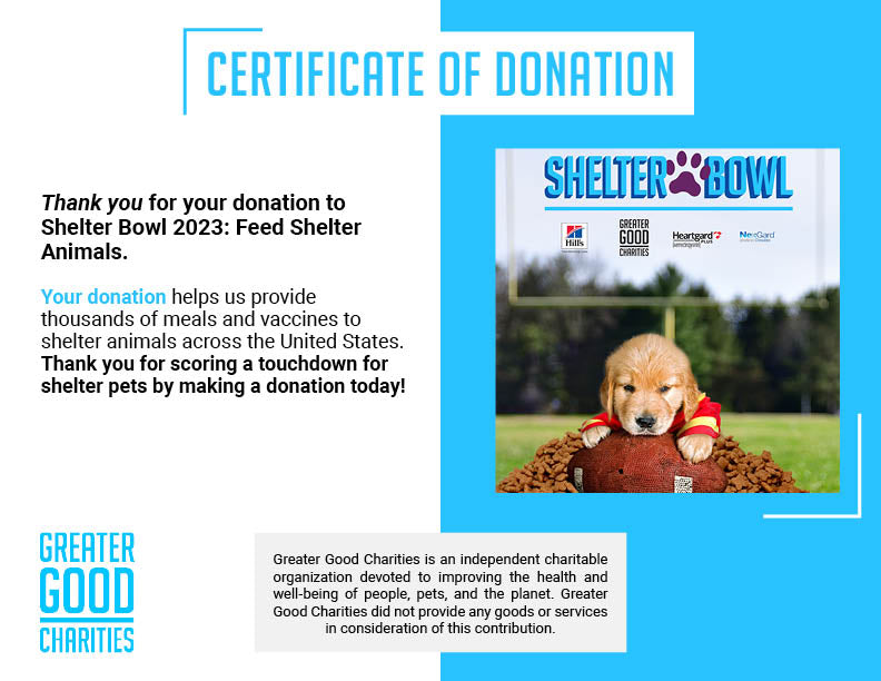 Shelter Bowl 2023: Feed Shelter Animals