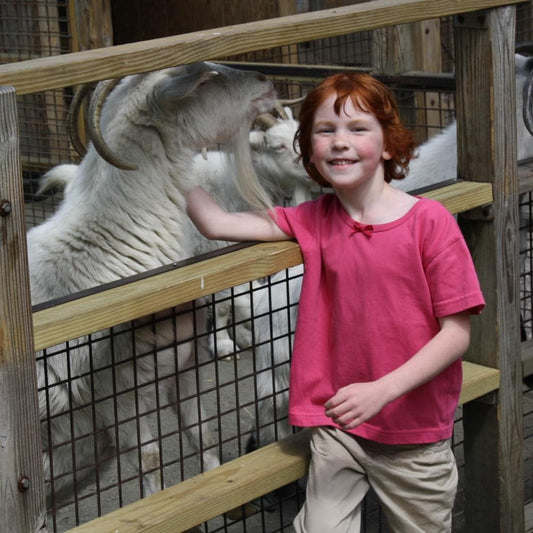 Donation - Catherine's Rescue Barn