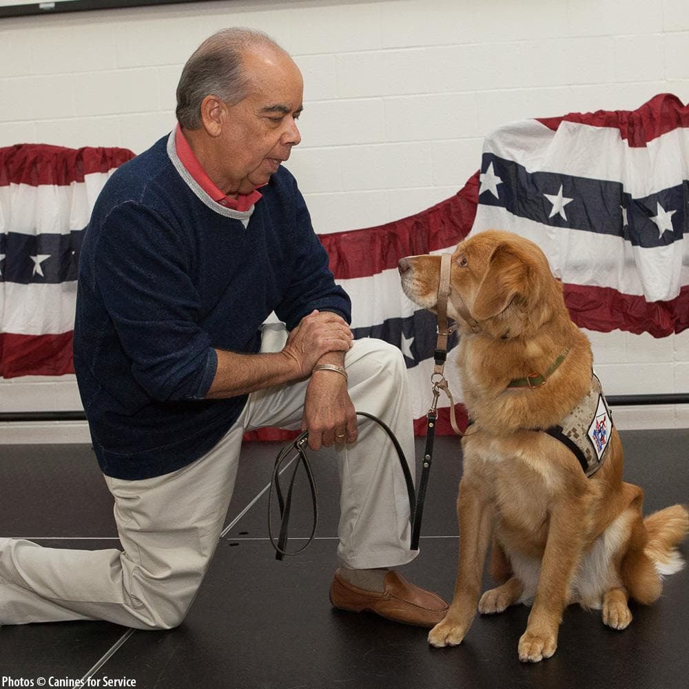 Donation - Changing Veterans Lives, Four Paws At A Time