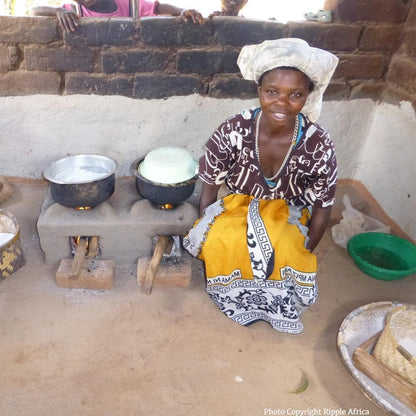 Donation - Clean Cookstoves To Save Trees