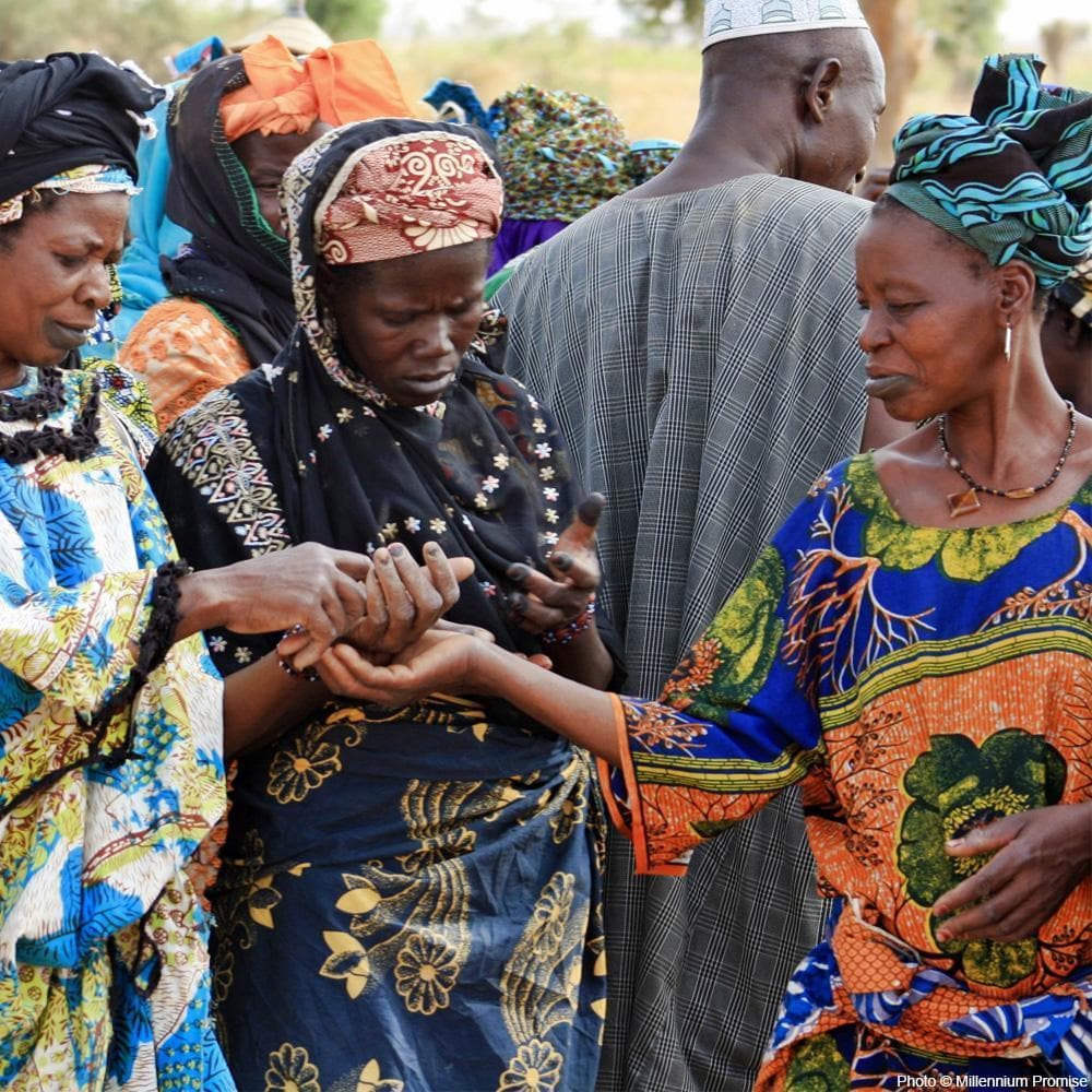 Donation - Fruit Trees For African Villages