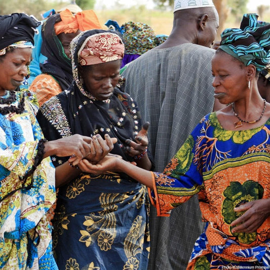 Donation - Fruit Trees For African Villages