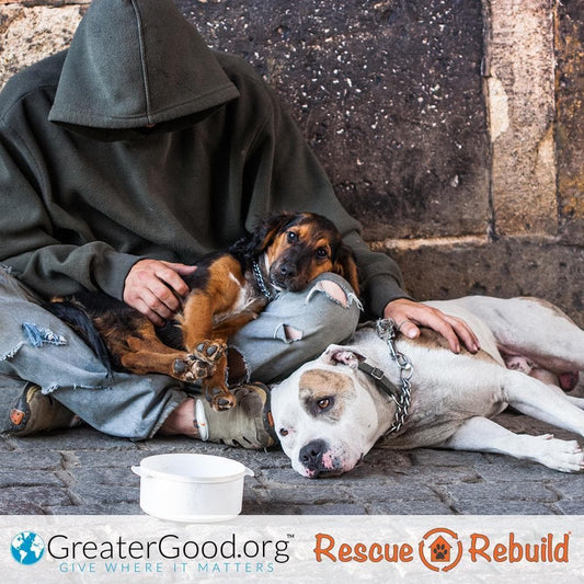 Donation - Help Homeless Americans And Their Pets