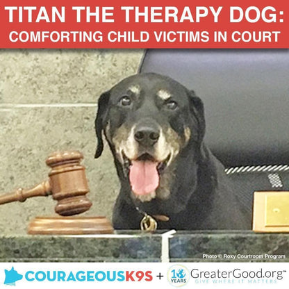 Donation - Help Titan Provide Therapy To Child Victims In Court