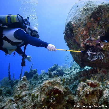 Donation - Help Veterans Save Coral Reefs