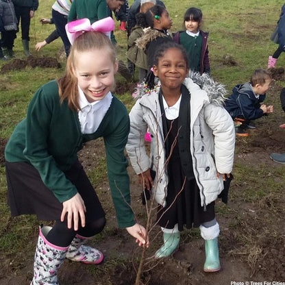 Donation - Plant Trees For Cities In The UK