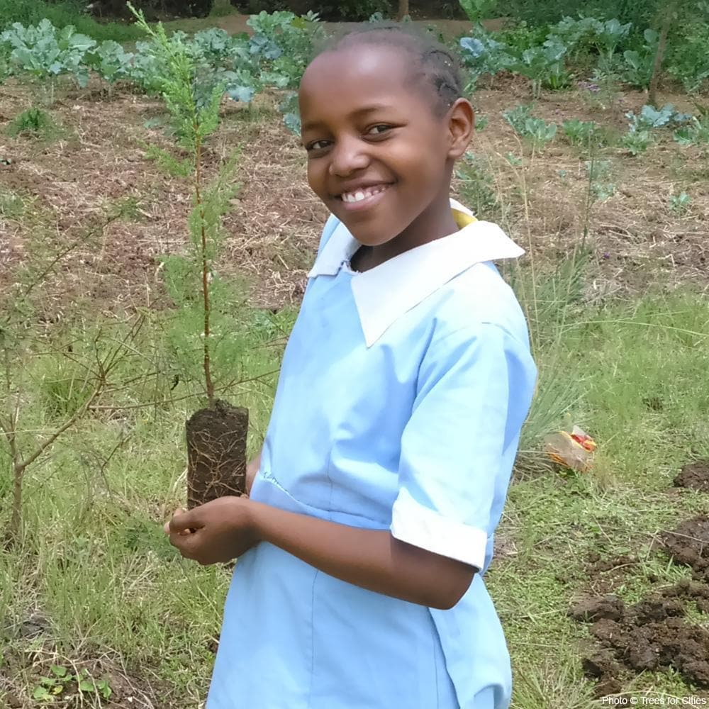 Donation - Plant Trees To Restore Nairobi's Urban Forest