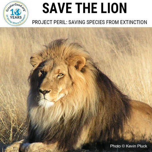 Donation - Project Peril: Help Save The Lion