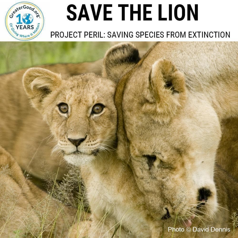 Donation - Project Peril: Help Save The Lion