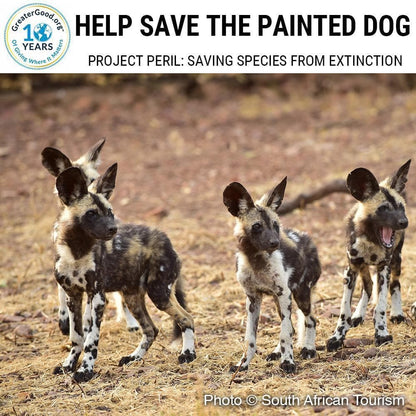 Donation - Project Peril: Help Save The Painted Dog