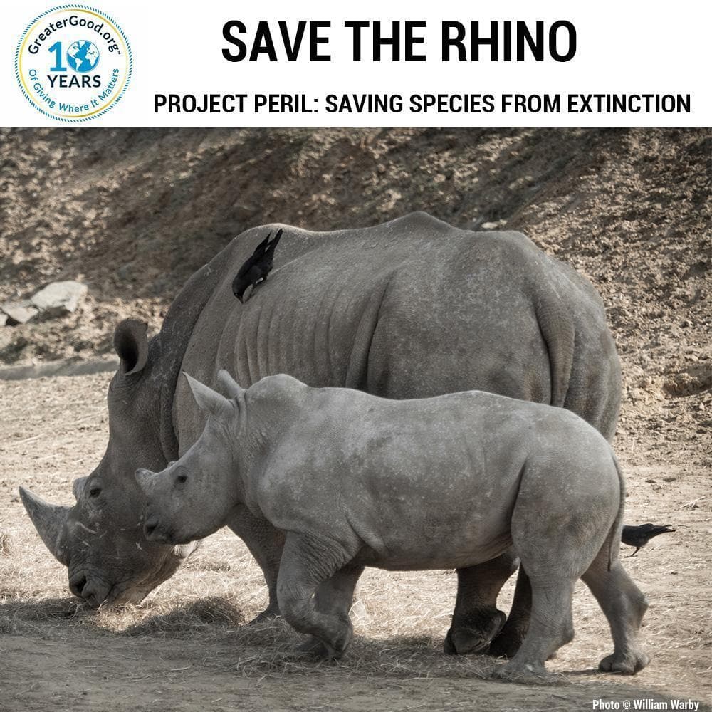 Donation - Project Peril: Help Save The Rhino