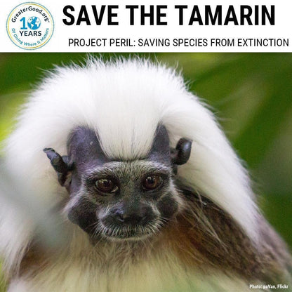 Donation - Project Peril: Help Save The Tamarin