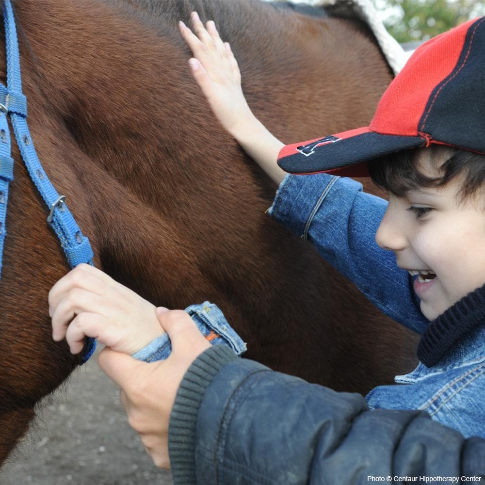 Donation - Provide Animal-Assisted Therapy For Disabled Children