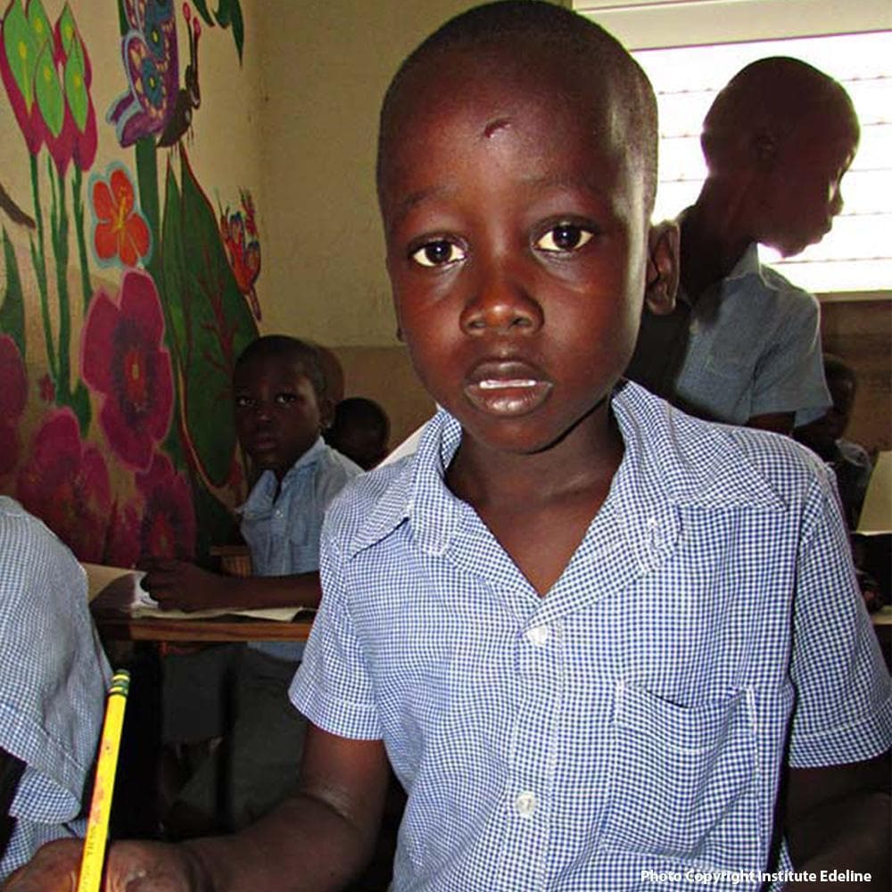 Donation - Provide Goats For Malnourished Haitian Schoolchildren