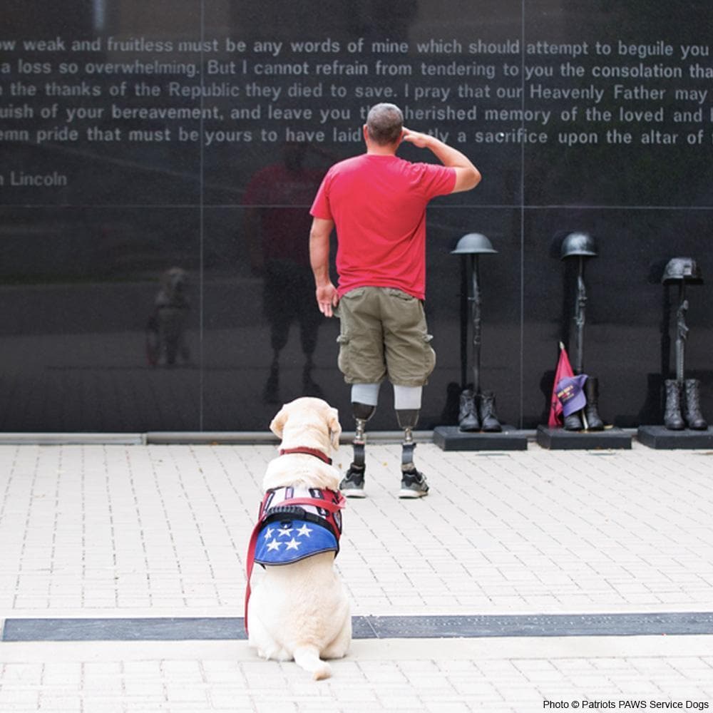 Donation - Service Dogs For American Veterans!