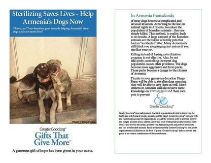 Donation - Sterilizing Saves Lives - Help Armenia's Dogs Now