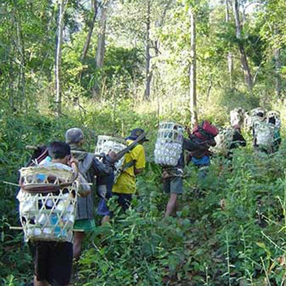 Donation - Train A Backpack Medic For Burma