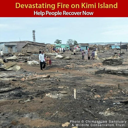 Donation - Urgent: Help Kimi Island Recover From Horrific Fire