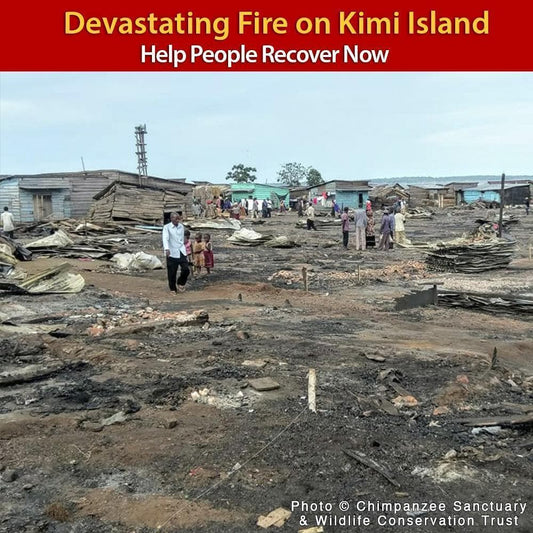 Donation - Urgent: Help Kimi Island Recover From Horrific Fire