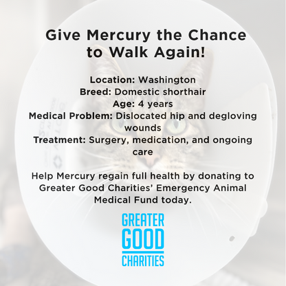 Funded - Give Mercury the Chance to Walk Again - $5 Level